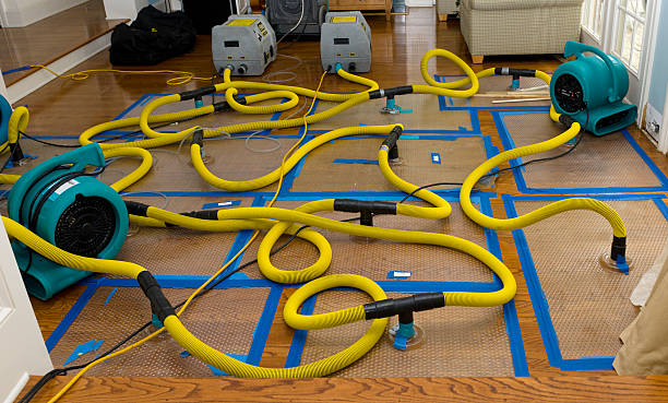 Professional Basement Flood Cleanup technician working in Winnetka, IL